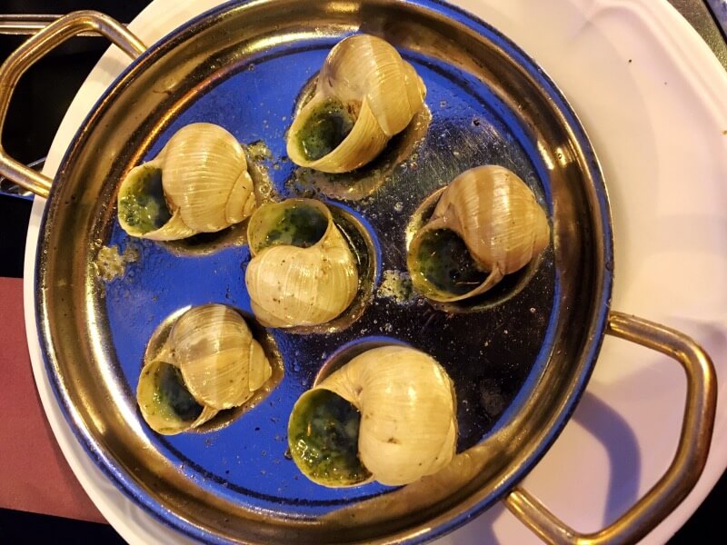 Eating all the snails