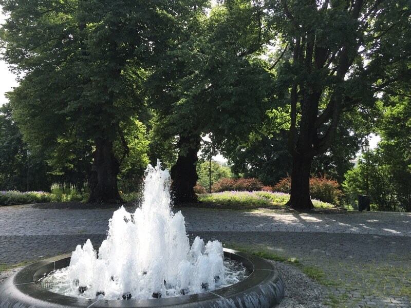 Fountain and linden trees
