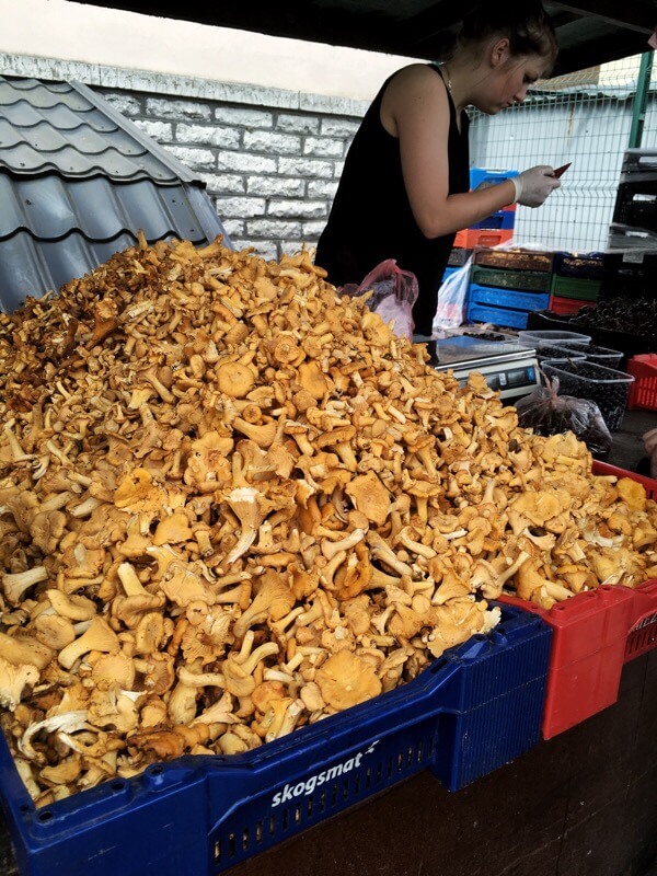 Chanterelles, €6/kg