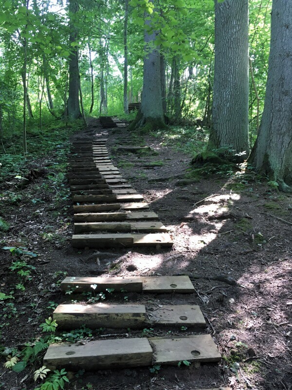 Different style of wooden steps