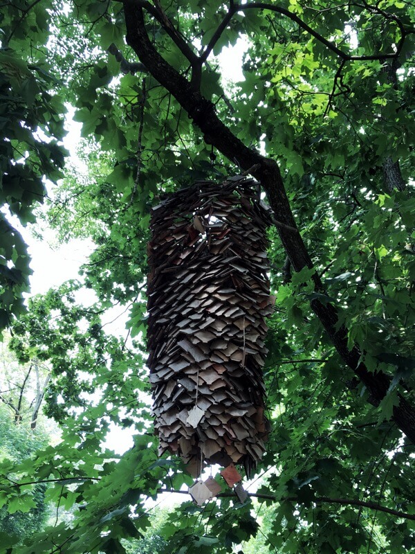 Wooden hive