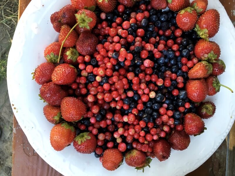 Berry plate