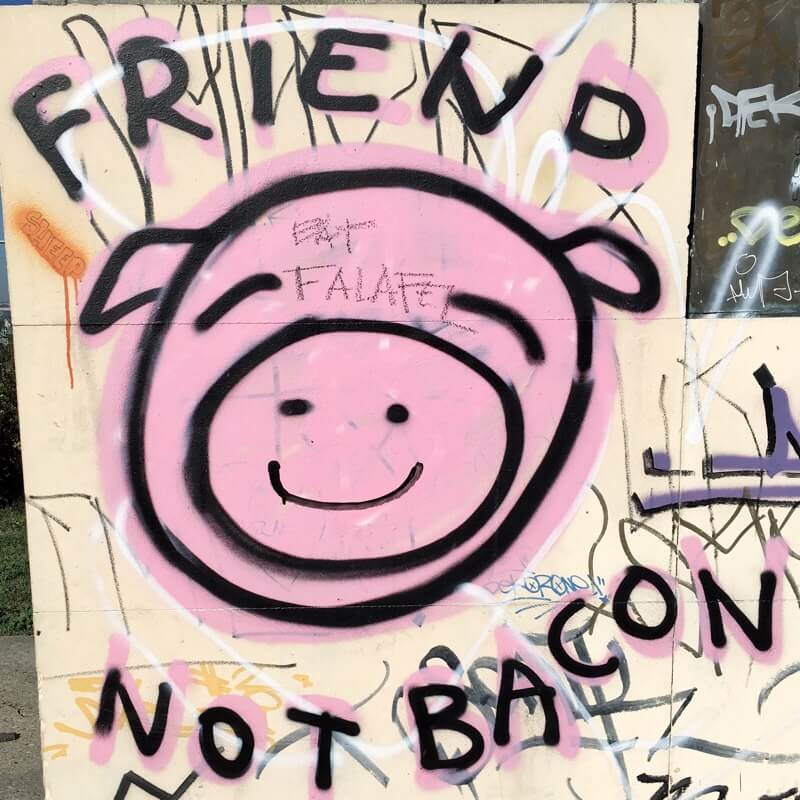 Friend, not bacon