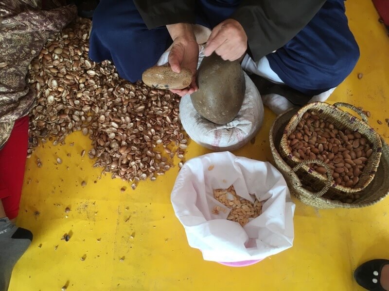 Shelling argan nuts