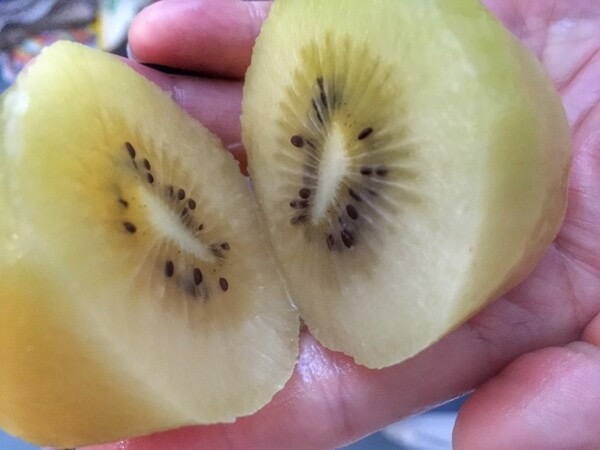 Big, beautiful, and sweet golden kiwis