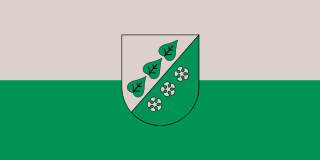 Flag of Sigulda
